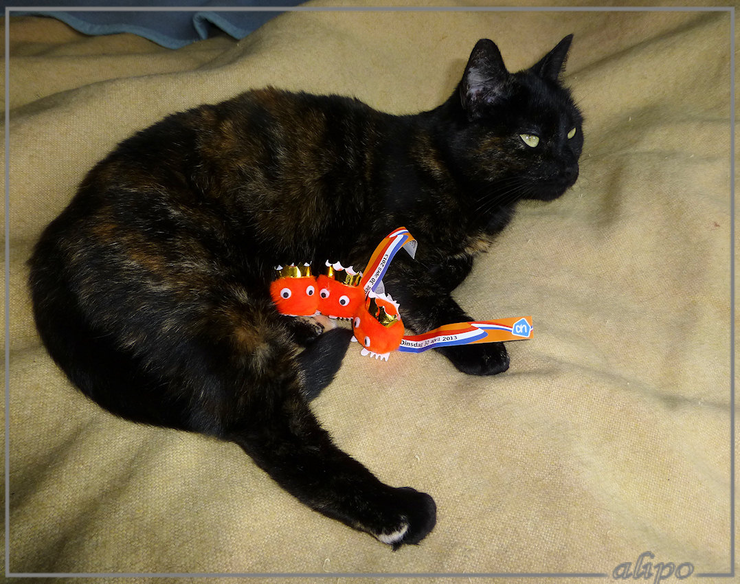 1-5-2013: Izzy met wuppies